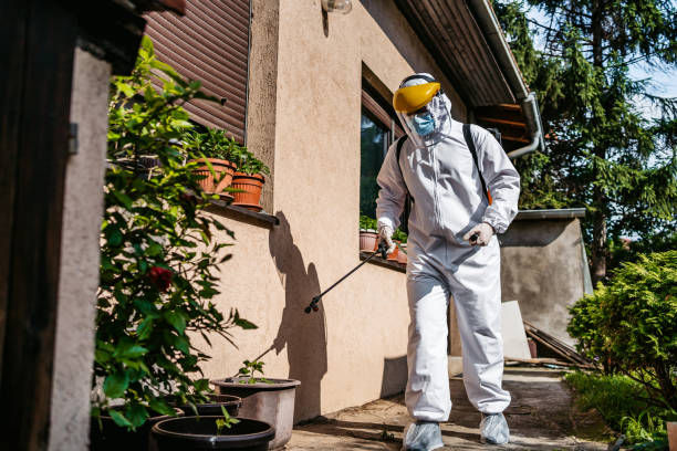 Best Mosquito Control Services  in Monticello, WI