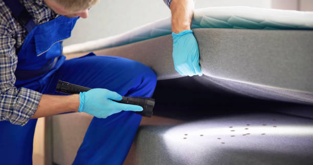 Best Emergency Pest Control  in Monticello, WI