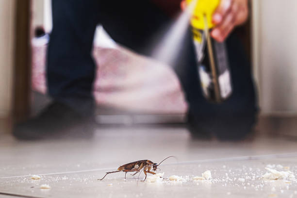 Reliable Monticello, WI Pest Control Solutions
